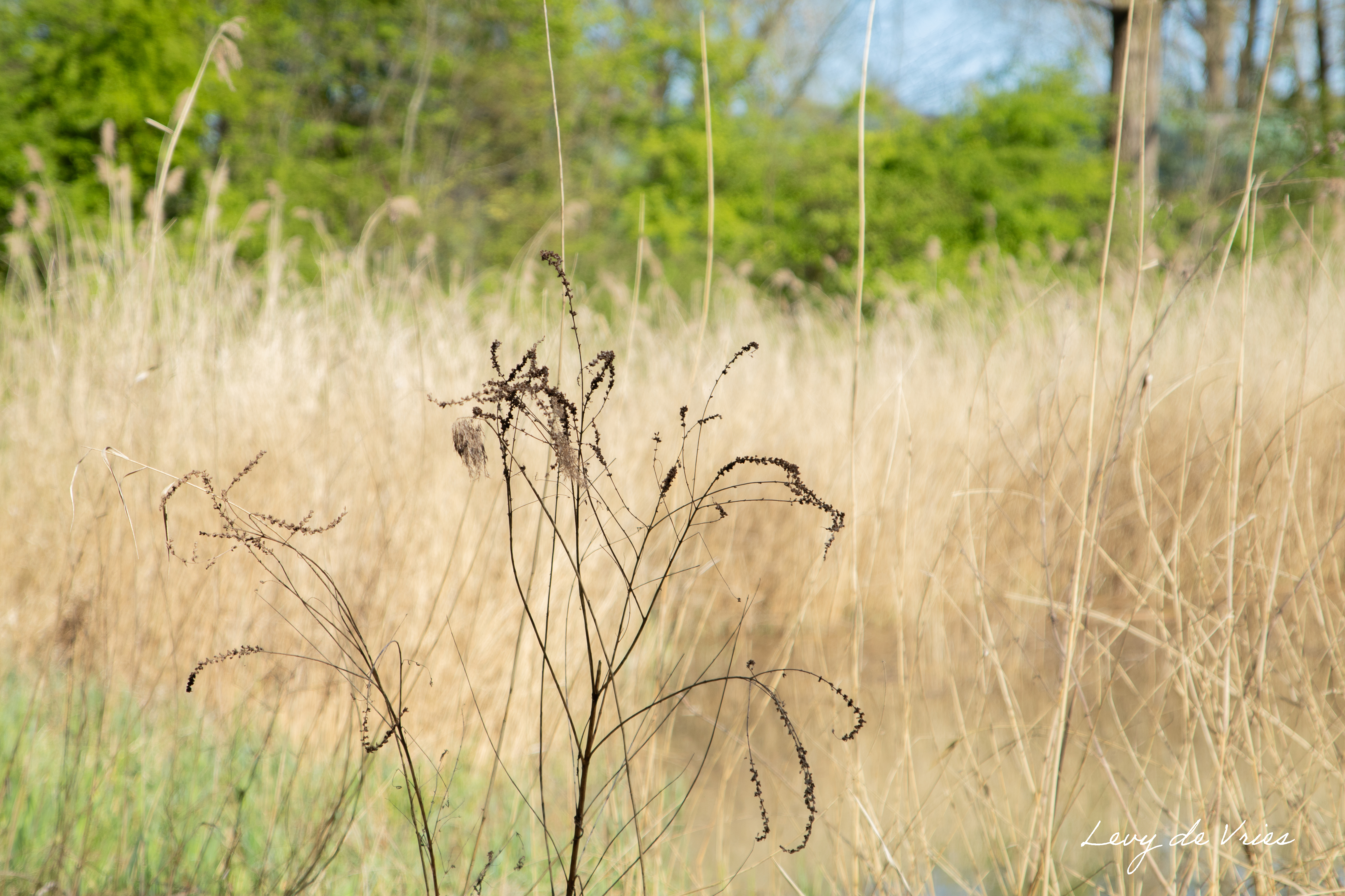 Overige Fotografie 4