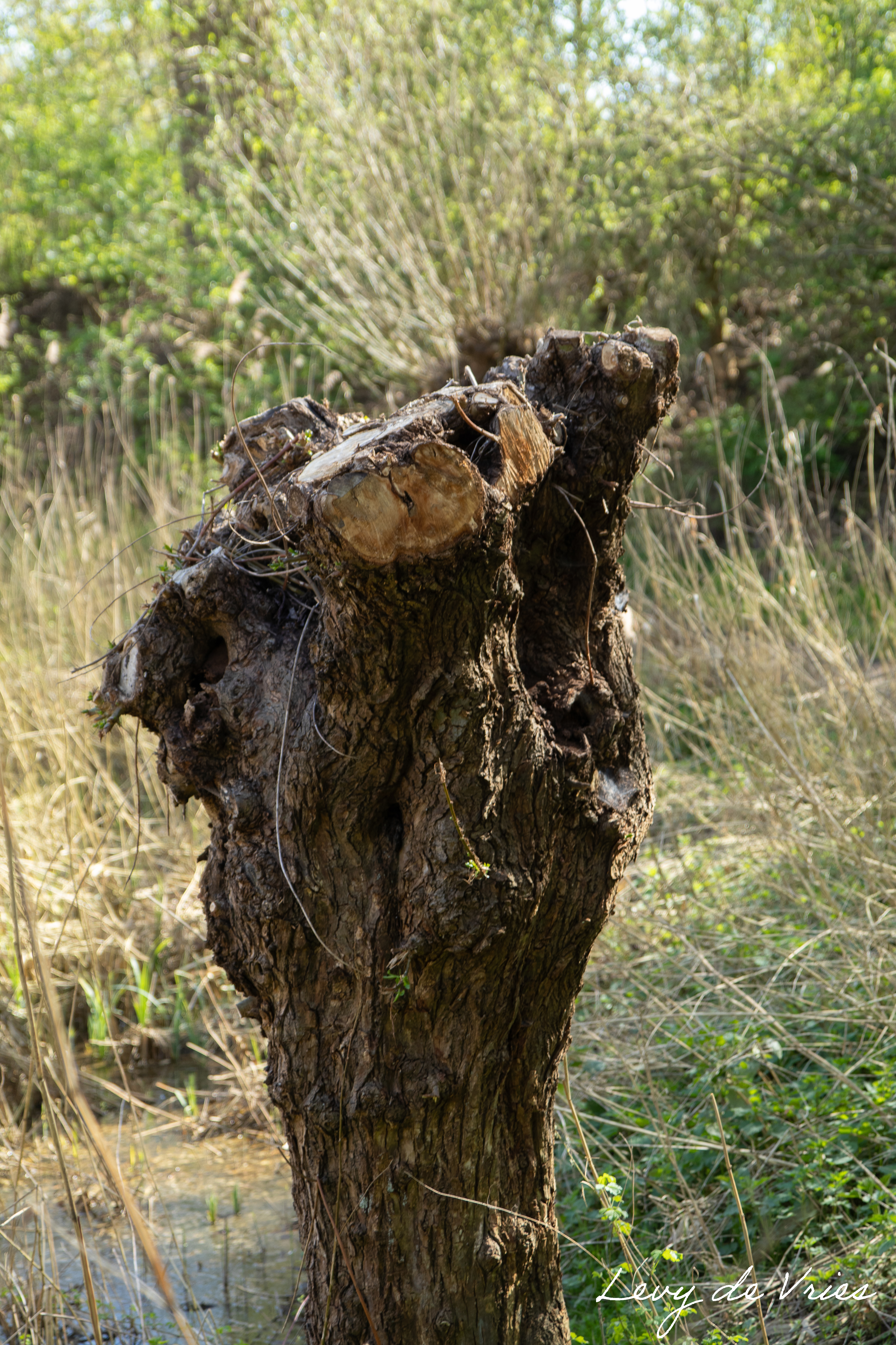 Overige Fotografie 3