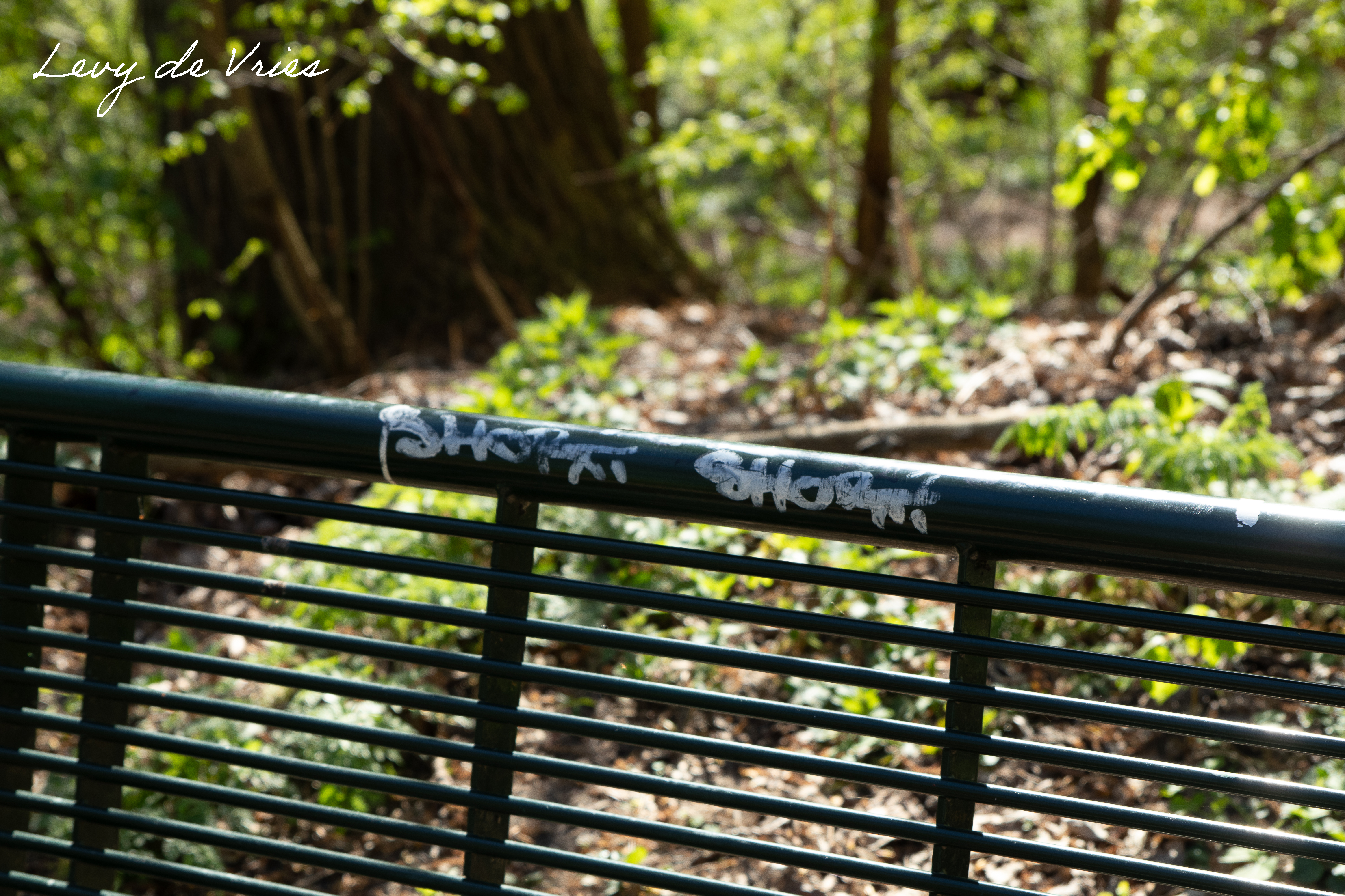 Overige Fotografie 5